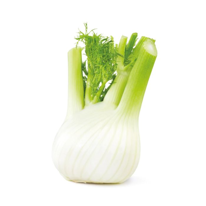 finocchio_1