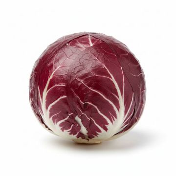 0029633