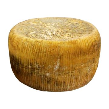p_v_pecorino_san_michele