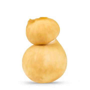 scamorza_affumicata