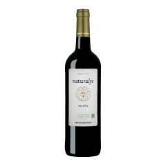 nuovo_progetto_-_2023-10-19t101749