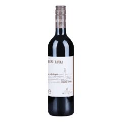 nuovo_progetto_-_2023-12-29t100829