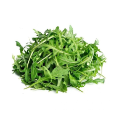 rucola-