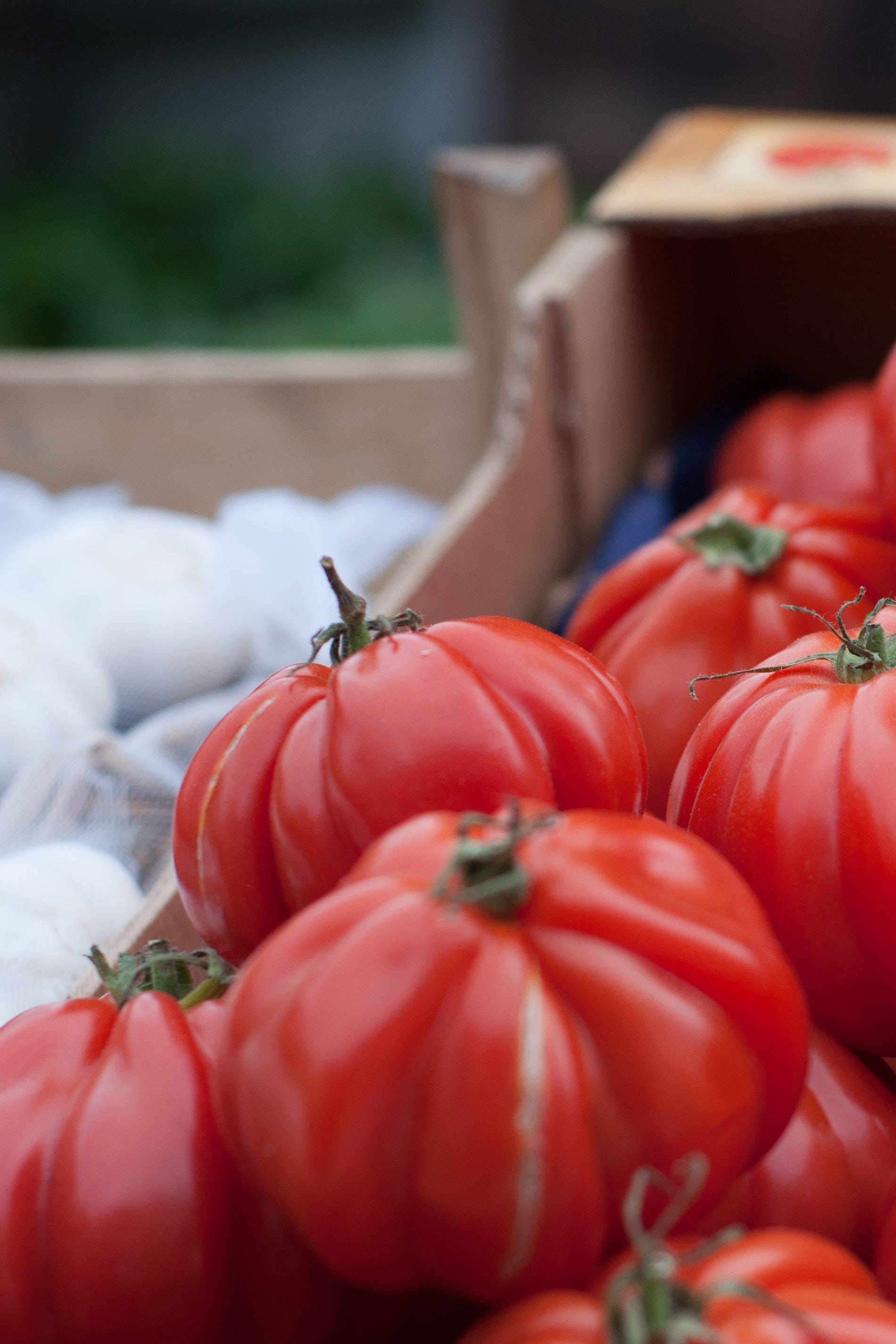 Salsa è tradizione